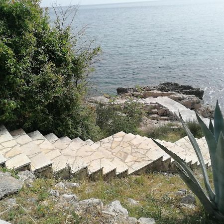Apartman Marinkovic Dobra Voda Exteriör bild